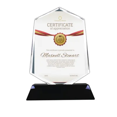 Heptagon Shape Sharp Looking Crystal Awards (13x19cms)