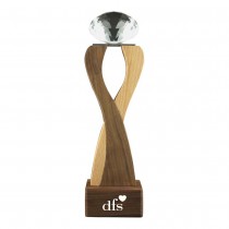 Personalized Logo Wooden Trophy with Diamond shape Crystal on Top 