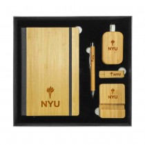 Logo Promotional Gift Sets - A5 Notebook, Pen, BT Earbuds, 16GB USB, Phone Stands 