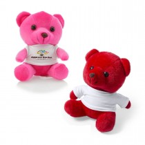 Personalized Teddy Bear