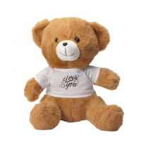 Personalized Logo Teddy Bears 