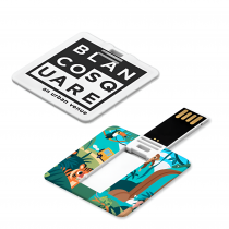 Personalized Logo Square Mini Card USB 