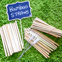 Authentic Reusable Natural Bamboo Straws with Cleaner