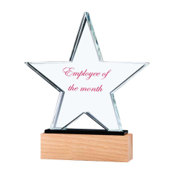 Personalized Logo Star Shaped Crystal Awards 