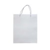 Promotional Paper Bag