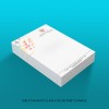 Director Letterhead 100gsm