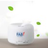 LED Color Mist Humidifier