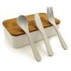 Promotional Logo Eco-Friendly Lunch Box