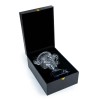 Premium Crystal Glass Trophy Cup with Box