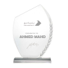 Personalized Crystal Awards with Engraved Leaf Design Laser Engraving