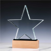 Promotional Star Shaped Crystal Awards 