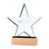 Promotional Star Shaped Crystal Awards 