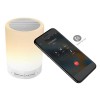 Personalized Lamp Bluetooth Speakers 