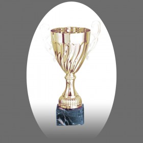 Gold Metal Trophy with Marble Base - Metal, Acrylic or Digital Sticker Branding - Awards - Small Sizes (Cup Shape)