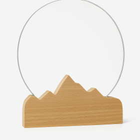 Round Shape Wood and Glass Trophy (17.5cm)