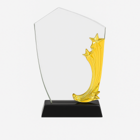 Crystal Star Trophy (25cm)